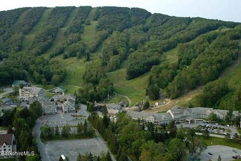 Unique Yeti-Theme Ski On Off Suite Jiminy-Sleeps 4 Hancock Ngoại thất bức ảnh