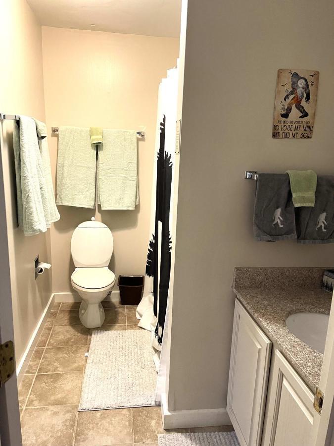 Unique Yeti-Theme Ski On Off Suite Jiminy-Sleeps 4 Hancock Ngoại thất bức ảnh